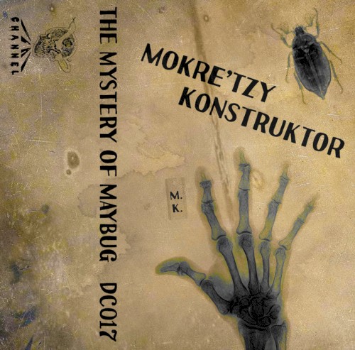 The Mystery of Maybug