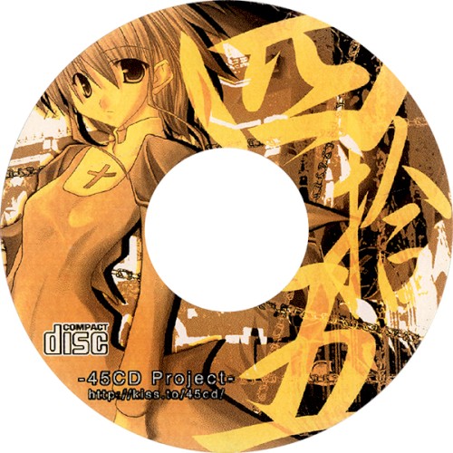 45CD Project