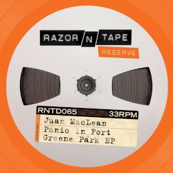 Panic in Fort Greene Park EP
