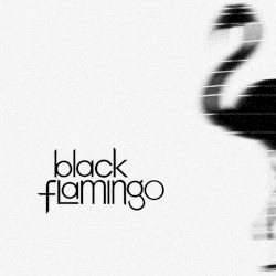 Black Flamingo