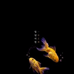 일년이면