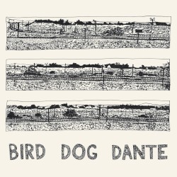 Bird Dog Dante