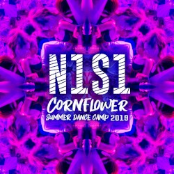 N1S1