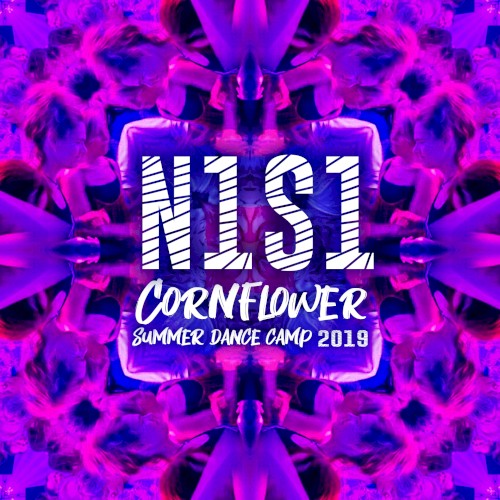 N1S1