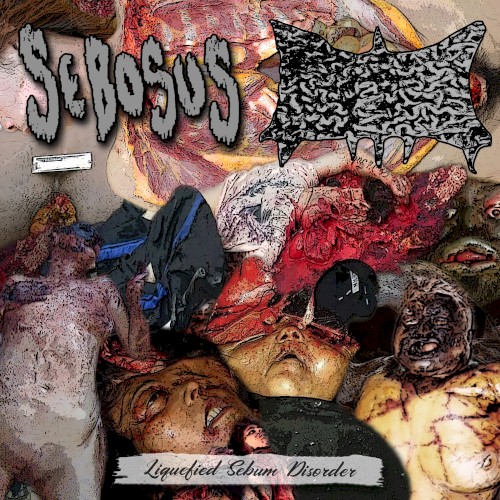 Liquefied Sebum Disorder