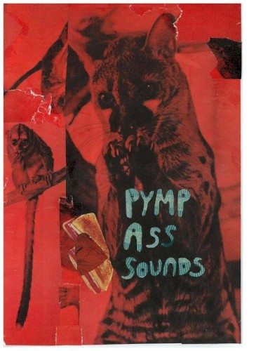 PYMP ASS SOUNDS