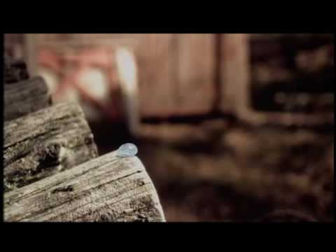 Electricity