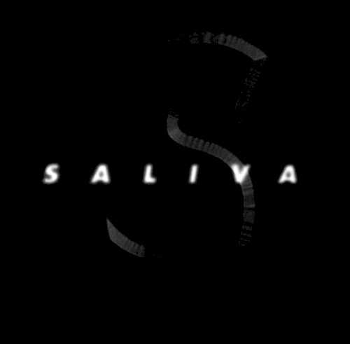 Saliva