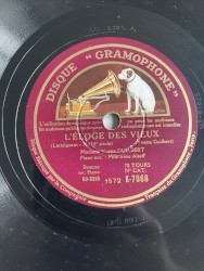 L’Éloge des vieux / Verligodin