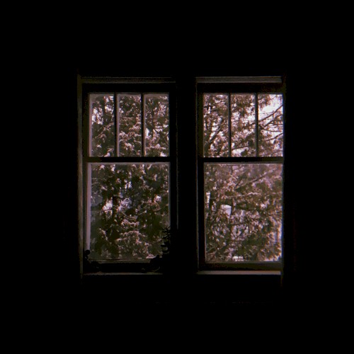 Anthesis