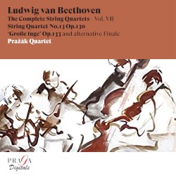 The Complete String Quartets - Vol. VII