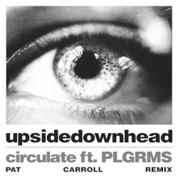 circulate (Pat Carroll Remix)