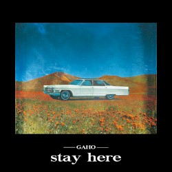 Stay Here