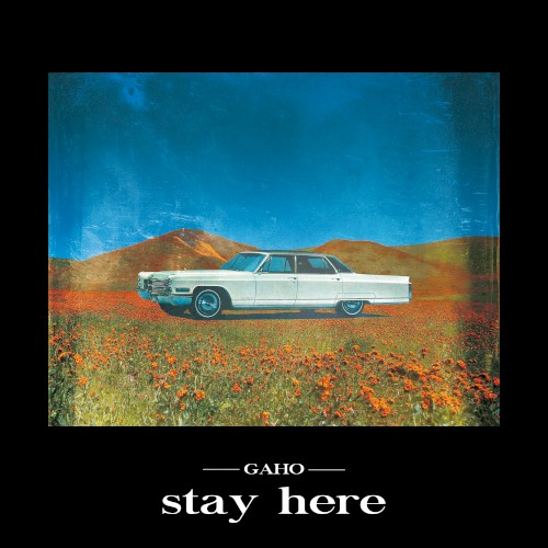 Stay Here
