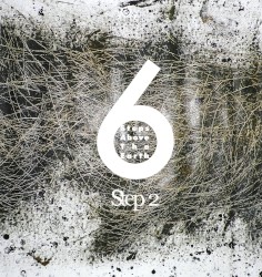 Step 2