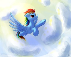 Free Skies