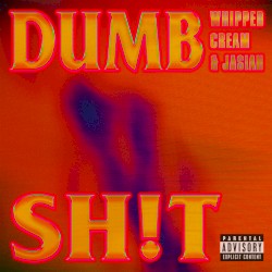 DUMB SH!T