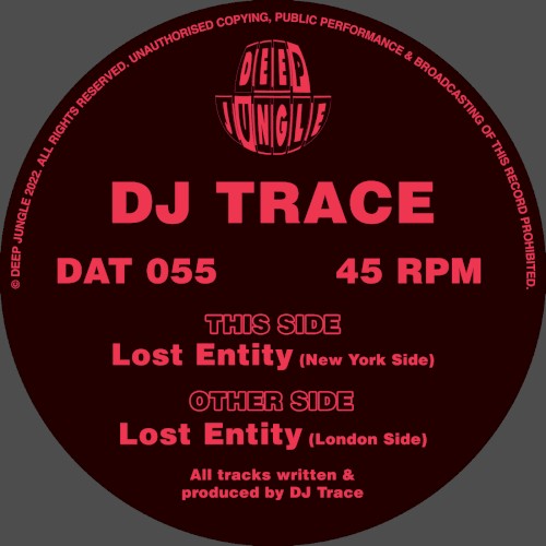 Lost Entity