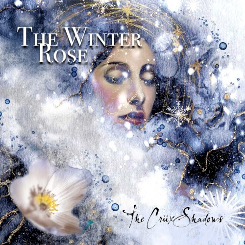 The Winter Rose