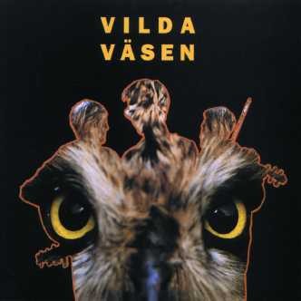 Vilda Väsen (Wild Väsen)