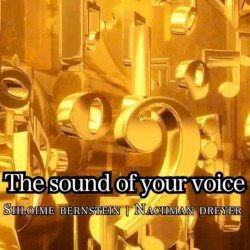 The Sound of Your Voice