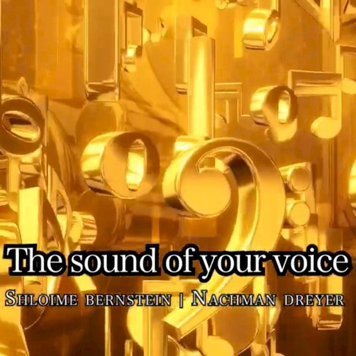 The Sound of Your Voice