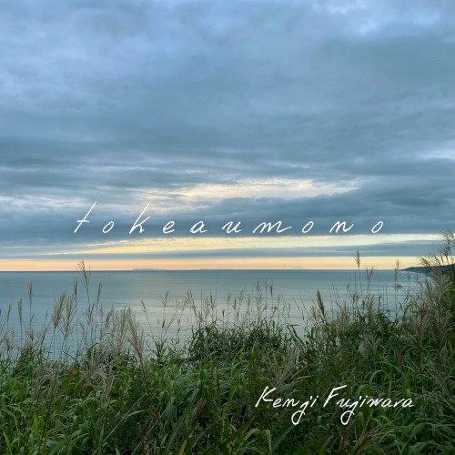 tokeaumono