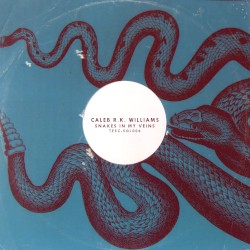 Snakes in My Veins
