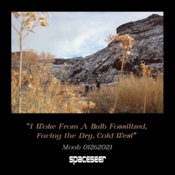 Live in Moab 01262021: "I Woke From A Bulb Fossilized, Facing the Dry, Cold West"