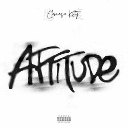 Attitude