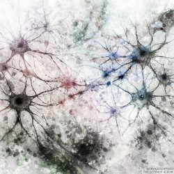 The Science Album