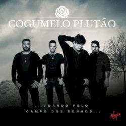 Voando Pelo Campo dos Sonhos