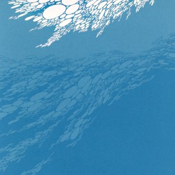 flood