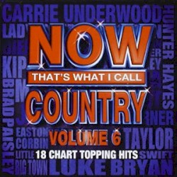 Now That's What I Call Country, Volume 6