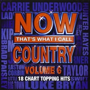 Now That's What I Call Country, Volume 6