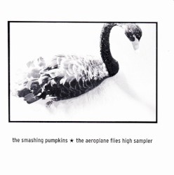 the aeroplane flies high sampler