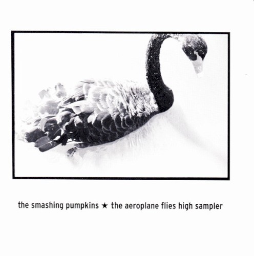 the aeroplane flies high sampler
