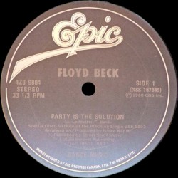 Party Is the Solution