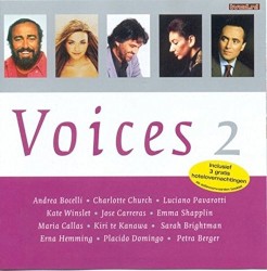 Voices 2