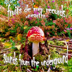 Fruits de Mer Records Unearths: Sounds From the Underground