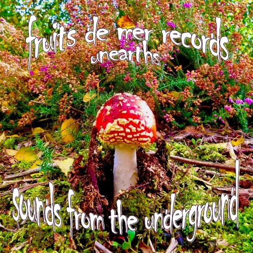 Fruits de Mer Records Unearths: Sounds From the Underground