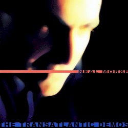 The Transatlantic Demos
