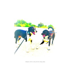 badger archie rocky shorty hang patty