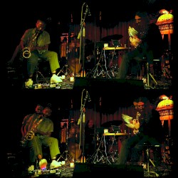 Live in Venice