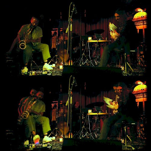 Live in Venice