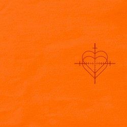 Feindliches Design