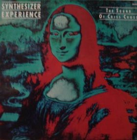 Synthesizer Experience