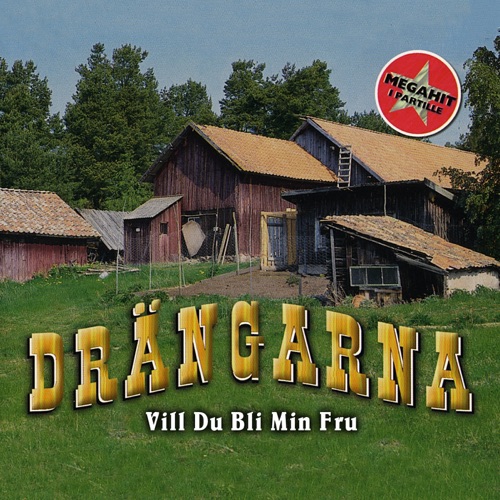 Vill du bli min fru