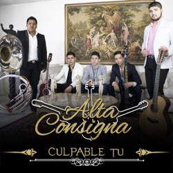 Culpable Tu