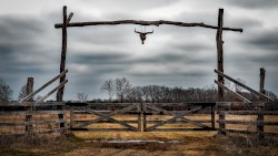 Wild Ranch